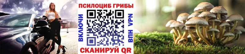 Галлюциногенные грибы мухоморы Усть-Кут