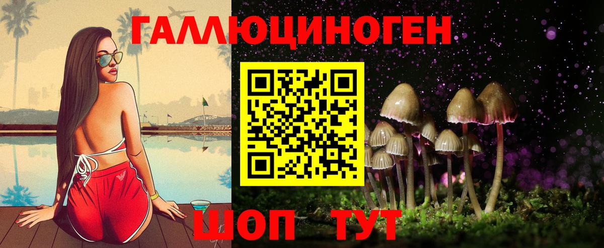 Псилоцибиновые грибы Psilocybe  Вход с VPN  Усть-Кут 